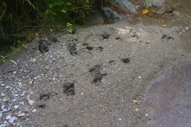 IMGP2036_R