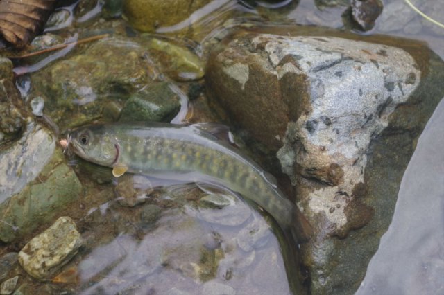 IMGP2057_R