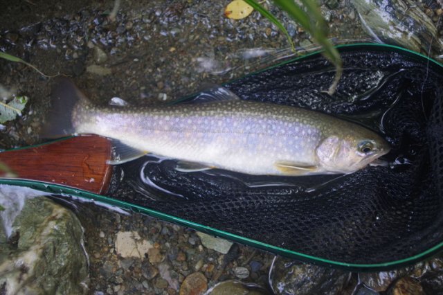 IMGP2079_R