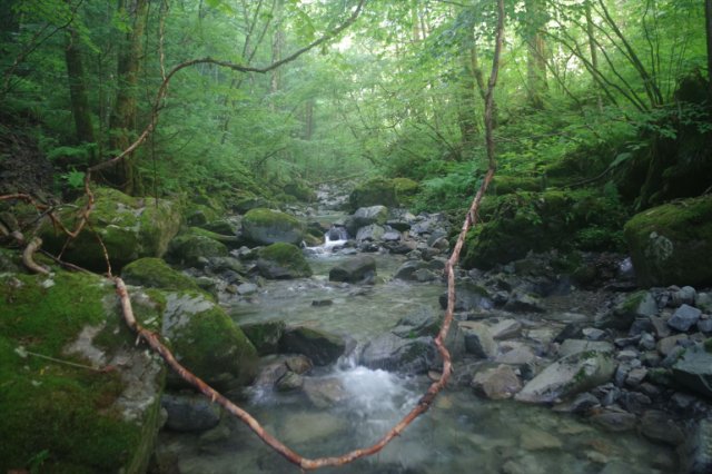 IMGP2306_R