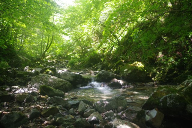 IMGP2313_R