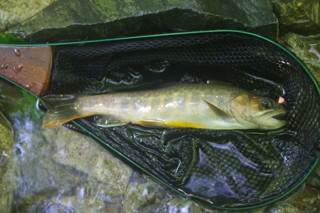 IMGP2325_R