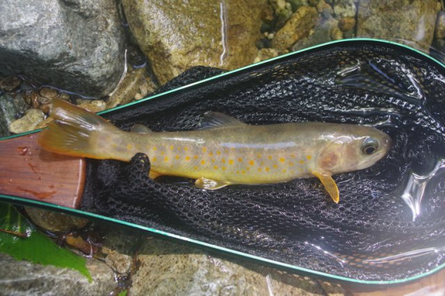 IMGP2347_R