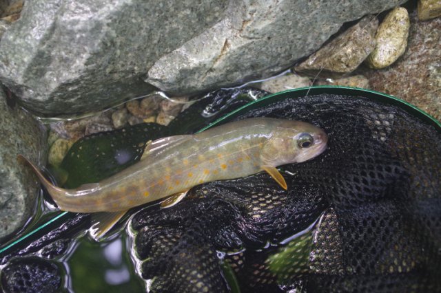 IMGP2355_R