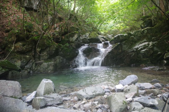 IMGP2401_R