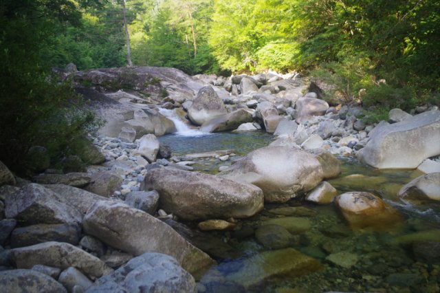 IMGP2409_R