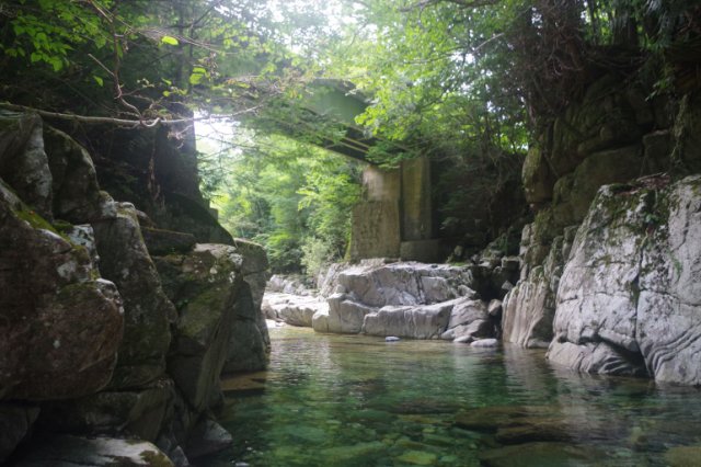IMGP2434_R