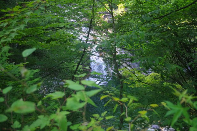 IMGP2501_R