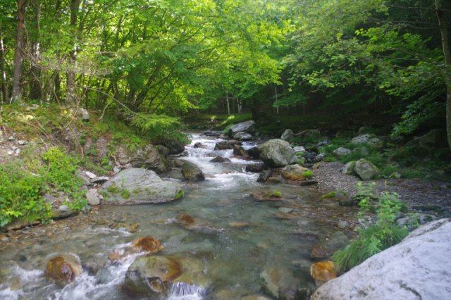 IMGP2527_R