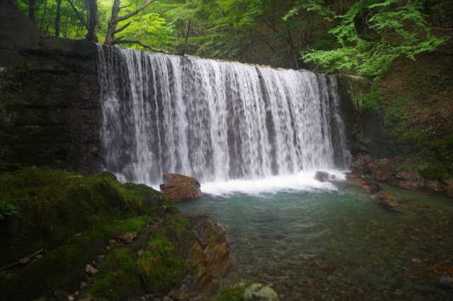IMGP2597_R