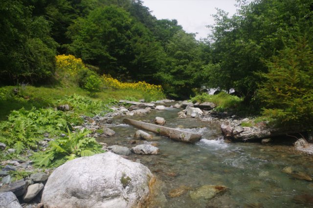 IMGP2658_R