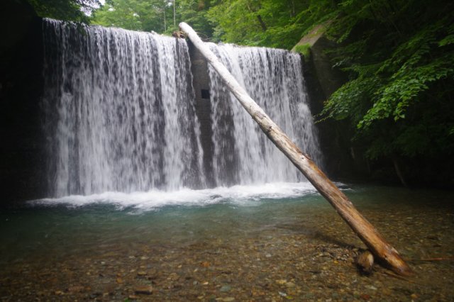 IMGP2696_R