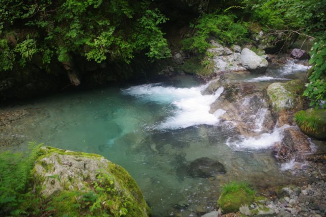 IMGP2728_R