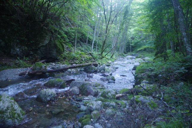 IMGP2794_R
