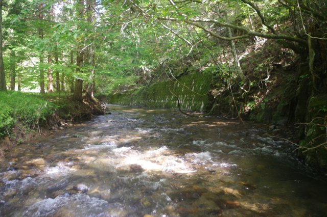 IMGP2867_R