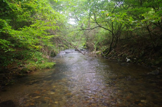 IMGP2904_R