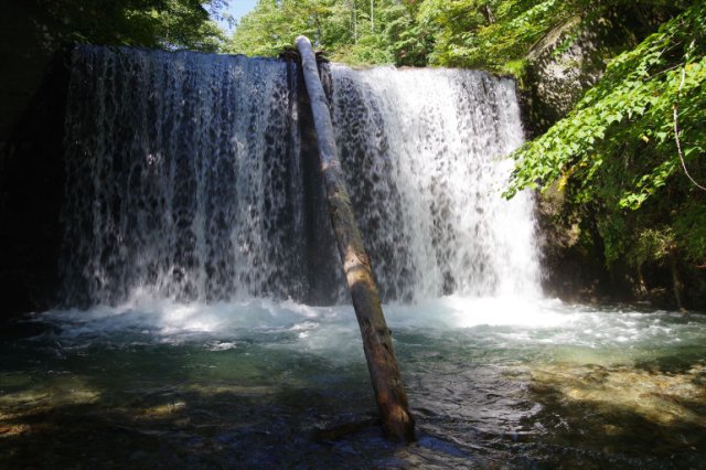 IMGP2961_R