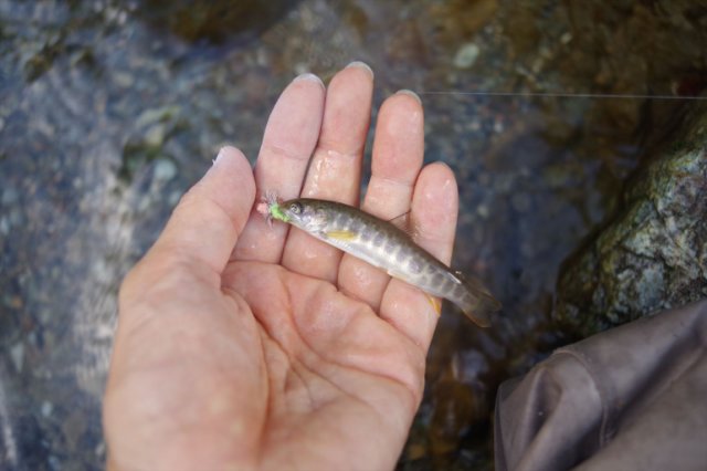 IMGP3009_R