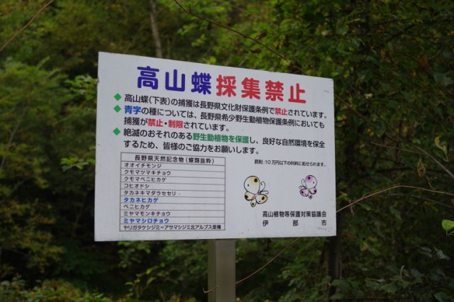 IMGP3028_R