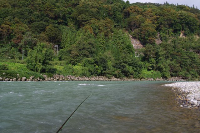 IMGP3071_R