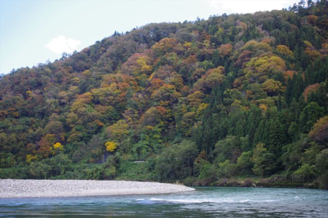 IMGP3254_R