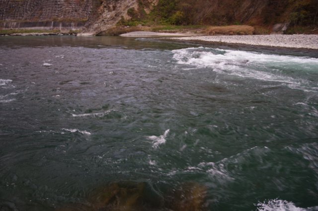 IMGP3341_R