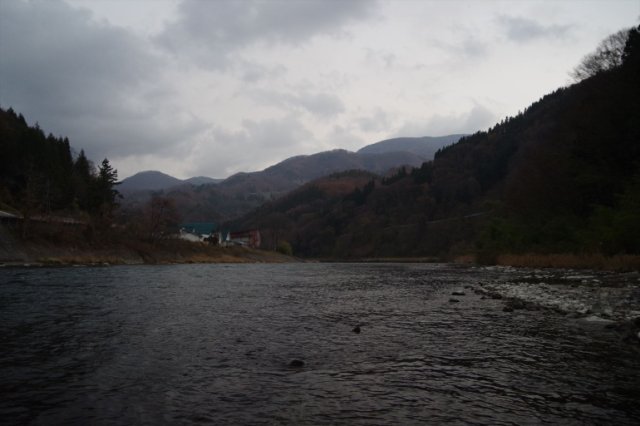 IMGP3379_R