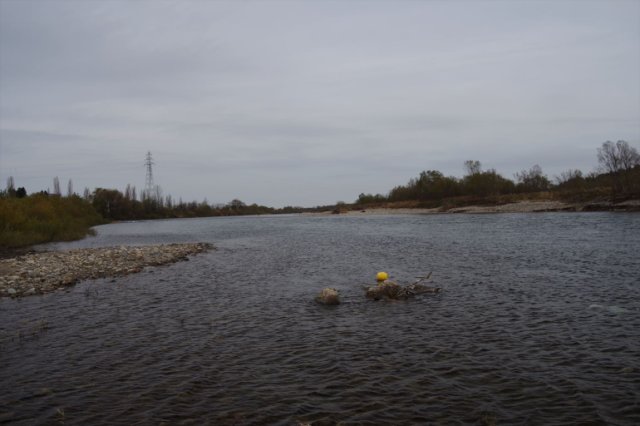 IMGP3476_R