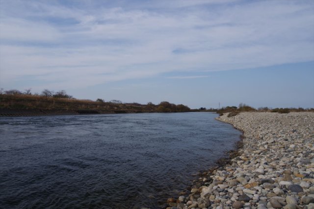 IMGP3501_R