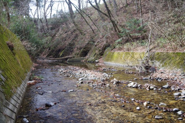 IMGP3645_R