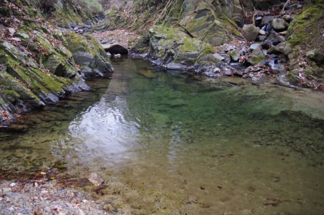 IMGP3653_R
