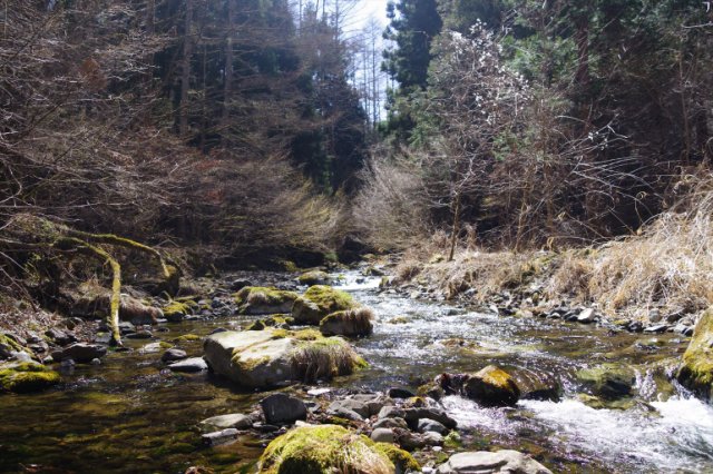 IMGP3832_R