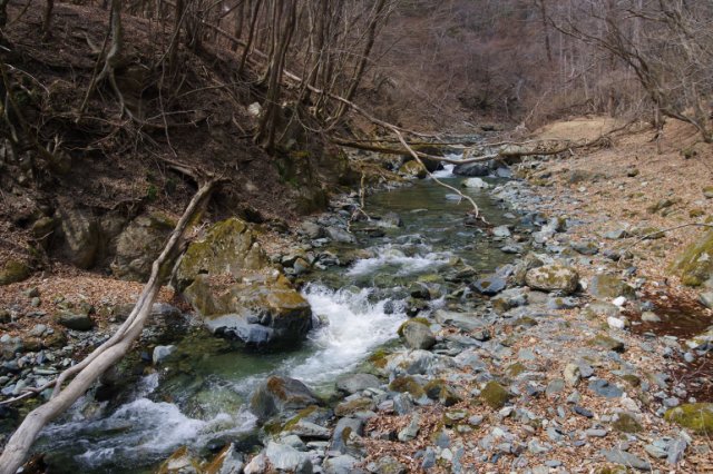 IMGP3893_R