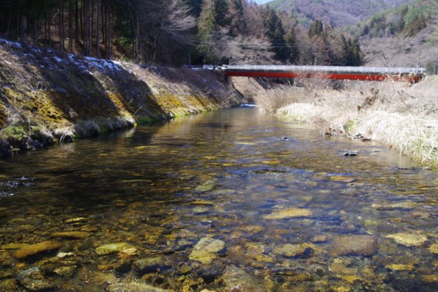 IMGP3929_R