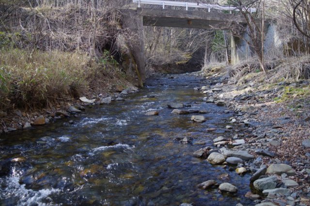 IMGP4104_R