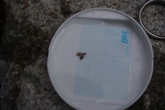IMGP4153_R