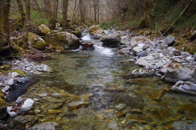 IMGP4174_R