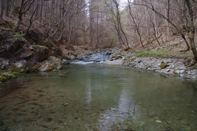 IMGP4369_R