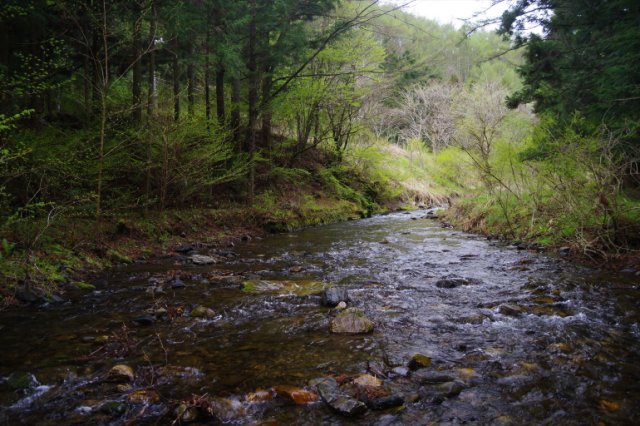 IMGP4420_R