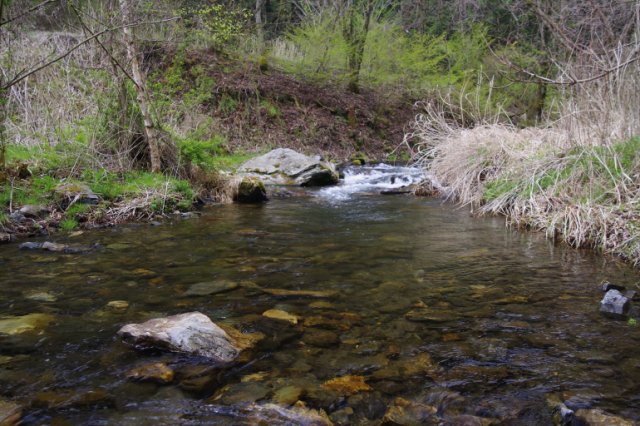 IMGP4431_R
