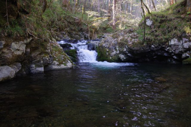IMGP4746_R