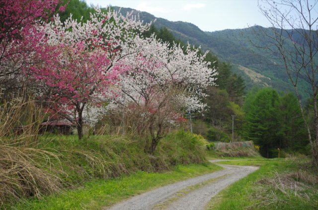 IMGP4829_R