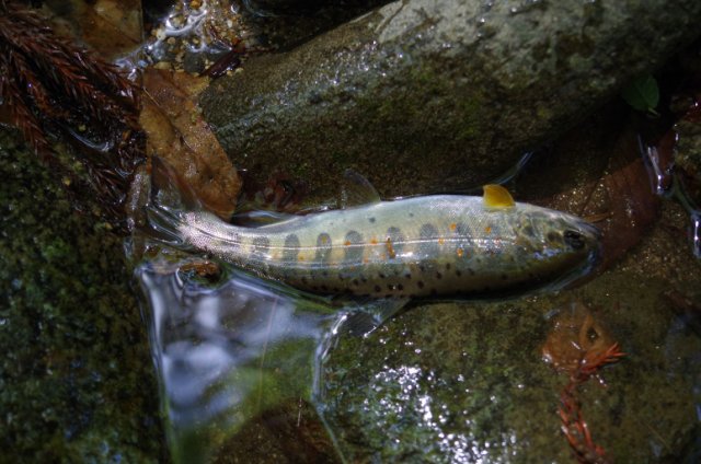 IMGP4856_R