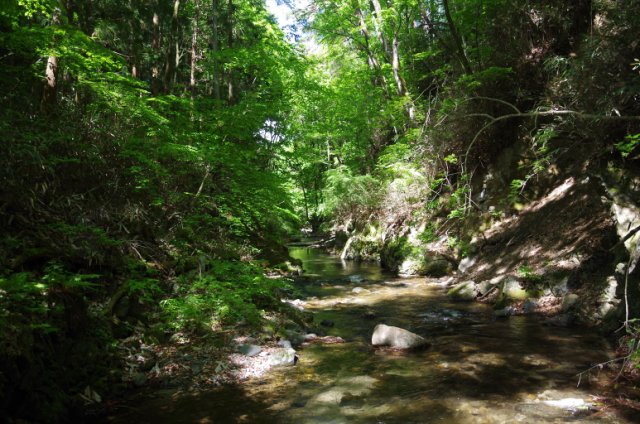 IMGP4917_R