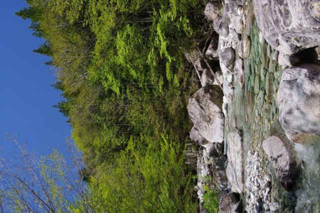 IMGP4845_R