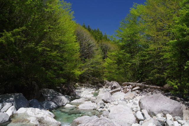 IMGP4859_R