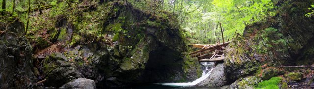 IMGP5016_stitch_R