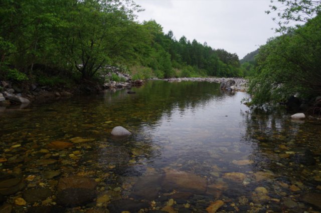 IMGP5411_R