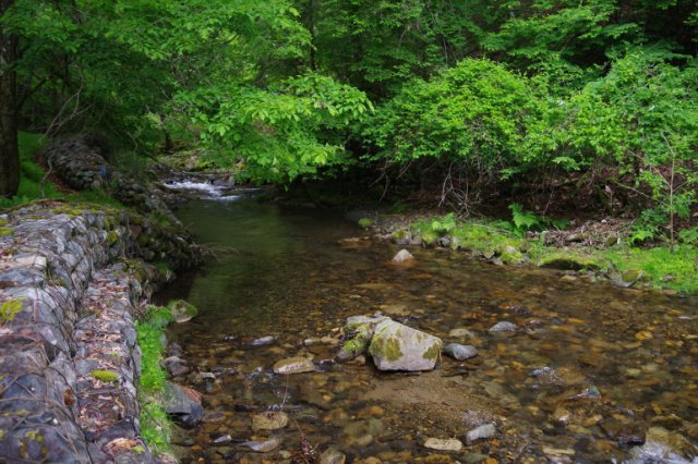 IMGP5490_R