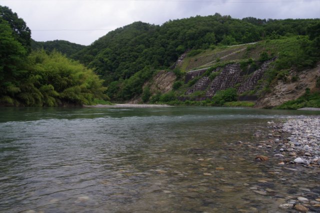 IMGP5536_R